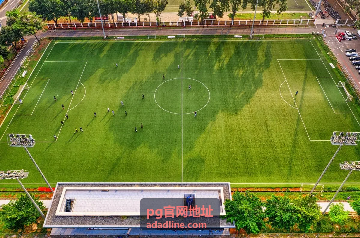 pg官网地址常见问题页面说明配图